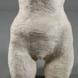 Moderner weiblicher Torso - photo 3
