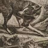 Jan Fyt, "Der sich umblickende Hund" - фото 3