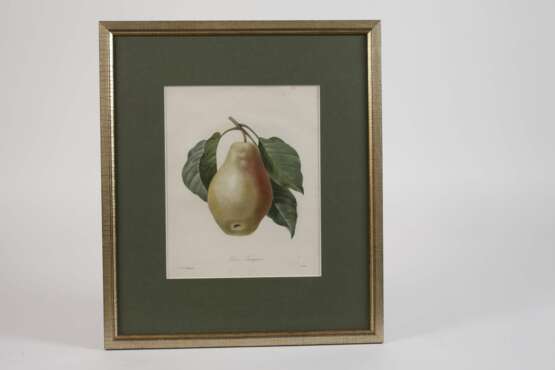 Pierre-Joseph Redouté, "Poire Tarquin" - photo 2