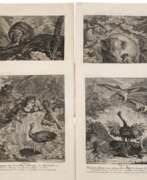 Aperçu. Johann Elias Ridinger, Graphiksammlung