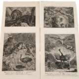 Johann Elias Ridinger, Graphiksammlung - photo 1