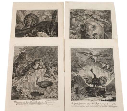 Johann Elias Ridinger, Graphiksammlung - photo 1