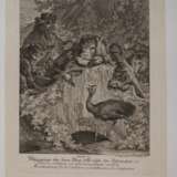 Johann Elias Ridinger, Graphiksammlung - photo 2