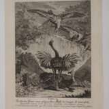 Johann Elias Ridinger, Graphiksammlung - photo 3