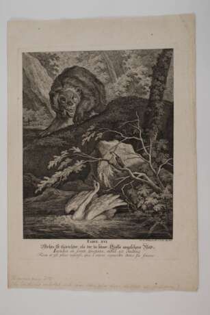 Johann Elias Ridinger, Graphiksammlung - photo 4