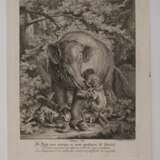 Johann Elias Ridinger, Graphiksammlung - photo 5