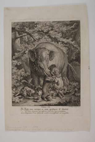 Johann Elias Ridinger, Graphiksammlung - photo 5