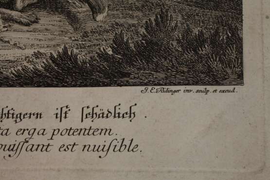 Johann Elias Ridinger, Graphiksammlung - photo 6