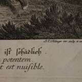 Johann Elias Ridinger, Graphiksammlung - photo 6