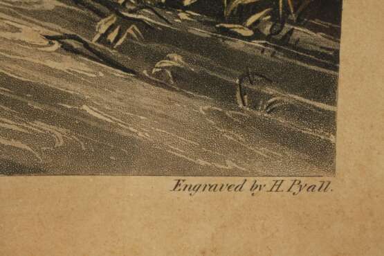 Henry Pyall, Konvolut Pferdedarstellungen - Foto 10