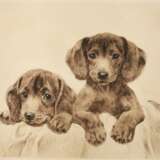 Kurt Meyer-Eberhardt, Zwei Hundewelpen - photo 1