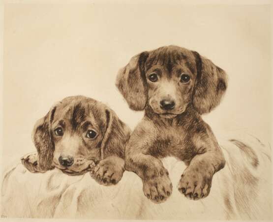 Kurt Meyer-Eberhardt, Zwei Hundewelpen - photo 1
