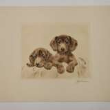 Kurt Meyer-Eberhardt, Zwei Hundewelpen - photo 3