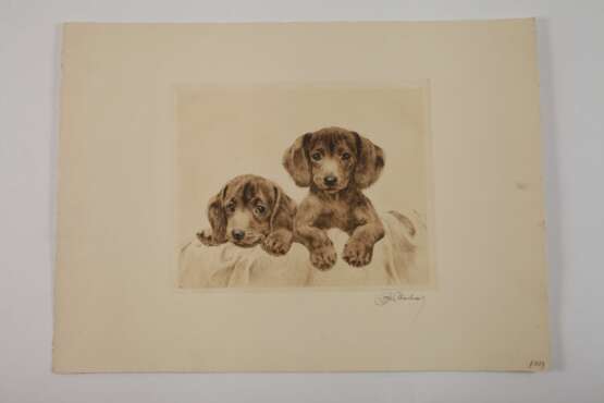 Kurt Meyer-Eberhardt, Zwei Hundewelpen - photo 3