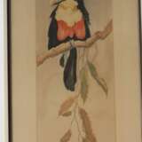 Fritz Neumann, Zwei Vogeldarstellungen - photo 4