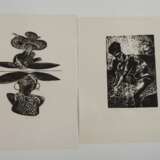 Thea Kowař, Graphikkonvolut - photo 3