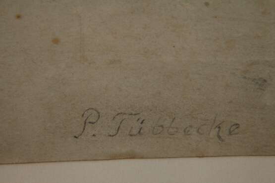 Paul Tübbecke, Auf Schloss Hornberg - photo 3