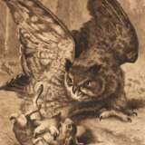 Ludwig Beckmann attr., “Uhu Kaninchen überfallend” - Foto 1
