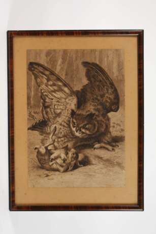 Ludwig Beckmann attr., “Uhu Kaninchen überfallend” - Foto 2