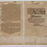 Sebastian Münster, Ansicht von Plauen - photo 5