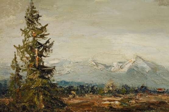 Adolf Schuhknecht, See im Alpenvorland - Foto 4