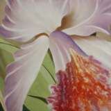 Manfred Leibl, Orchideen - photo 4