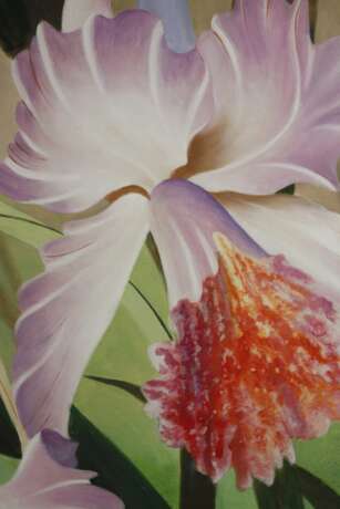 Manfred Leibl, Orchideen - photo 4