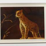 Manfred Leibl, Gepard - photo 2