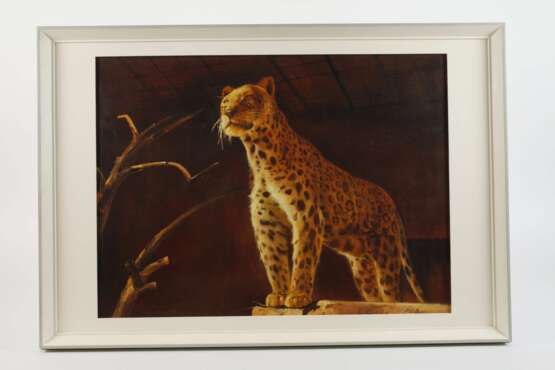 Manfred Leibl, Gepard - photo 2