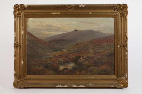 Alfred Fontville de Breanski jr., Das Dartmoor - photo 2