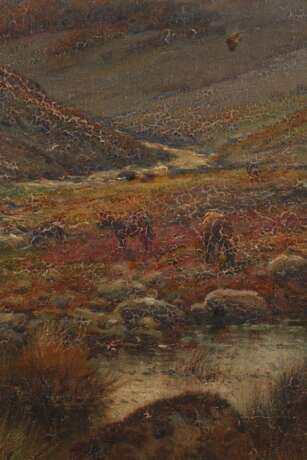 Alfred Fontville de Breanski jr., Das Dartmoor - photo 4