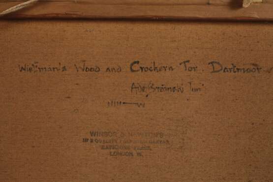 Alfred Fontville de Breanski jr., Das Dartmoor - photo 7