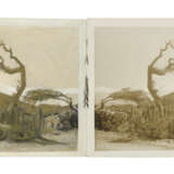 TACITA DEAN (B. 1965) - photo 1
