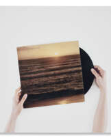 ANNE COLLIER (b. 1970)