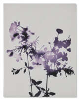 JAMES WELLING (B. 1951)