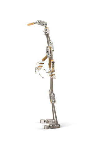 RYAN GANDER (B. 1976) - photo 4