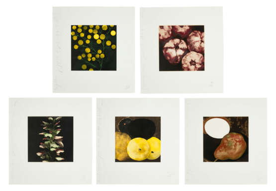 DONALD SULTAN (B. 1951) - photo 1
