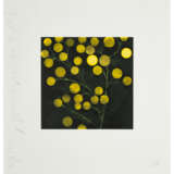 DONALD SULTAN (B. 1951) - photo 2