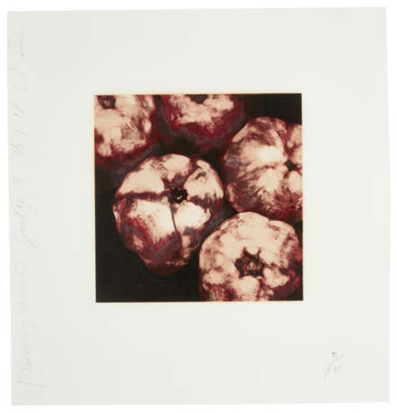 DONALD SULTAN (B. 1951) - photo 3
