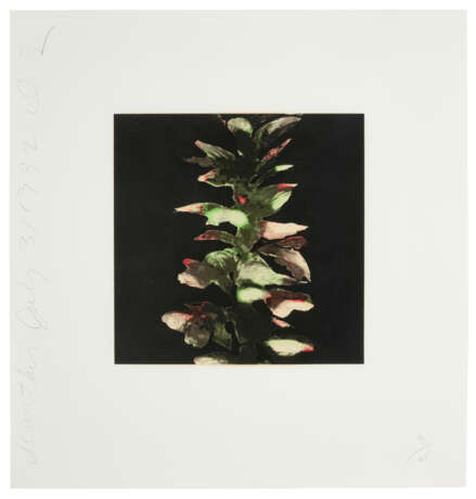 DONALD SULTAN (B. 1951) - photo 4