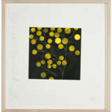 DONALD SULTAN (B. 1951) - photo 7