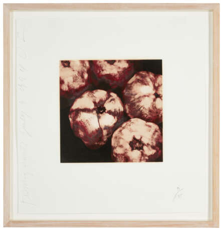 DONALD SULTAN (B. 1951) - photo 8