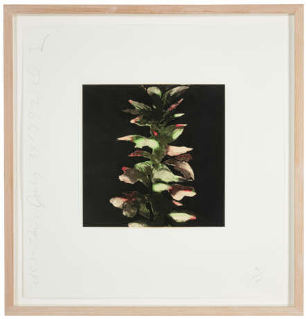DONALD SULTAN (B. 1951) - photo 9