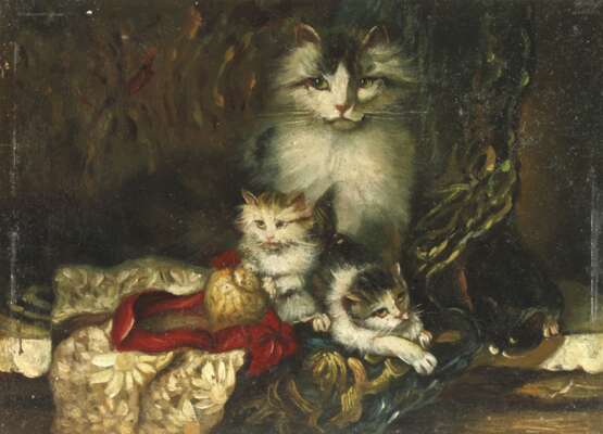 Katze mit spielenden Jungen - Foto 1