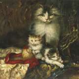 Katze mit spielenden Jungen - Foto 1