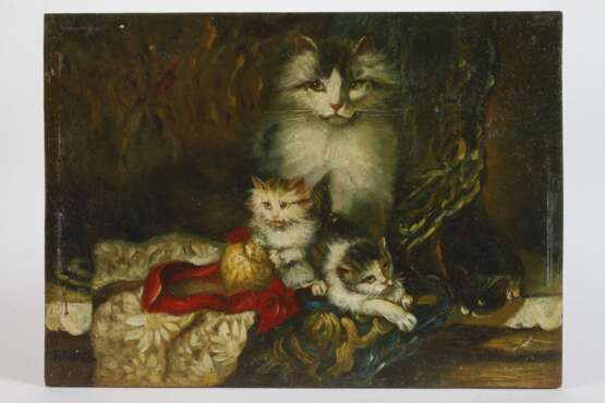 Katze mit spielenden Jungen - Foto 2