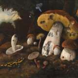 Pilze mit Insekten und Feuersalamander - photo 1