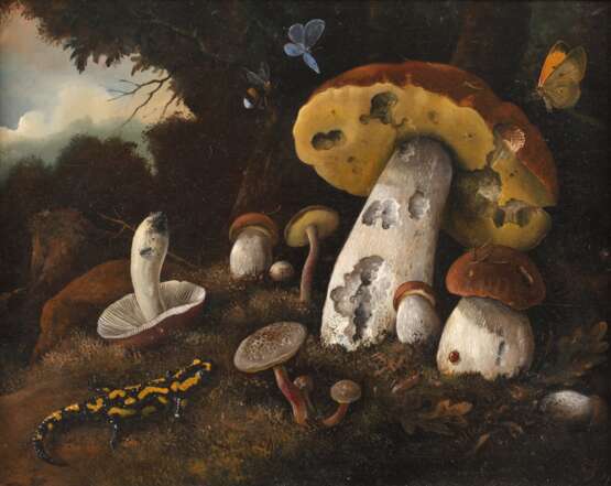 Pilze mit Insekten und Feuersalamander - photo 1