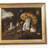 Pilze mit Insekten und Feuersalamander - photo 2