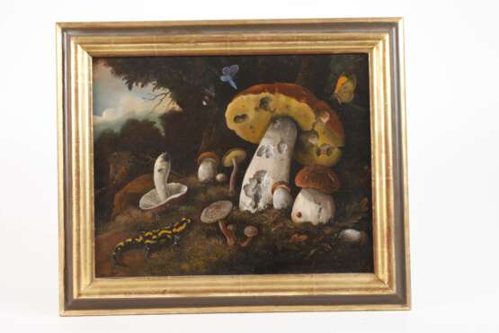 Pilze mit Insekten und Feuersalamander - photo 2